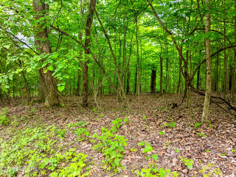 0 Running Deer Tr, Caryville, TN 37714