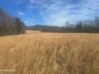 0 Ruppe Rd, Oakdale, TN 37829