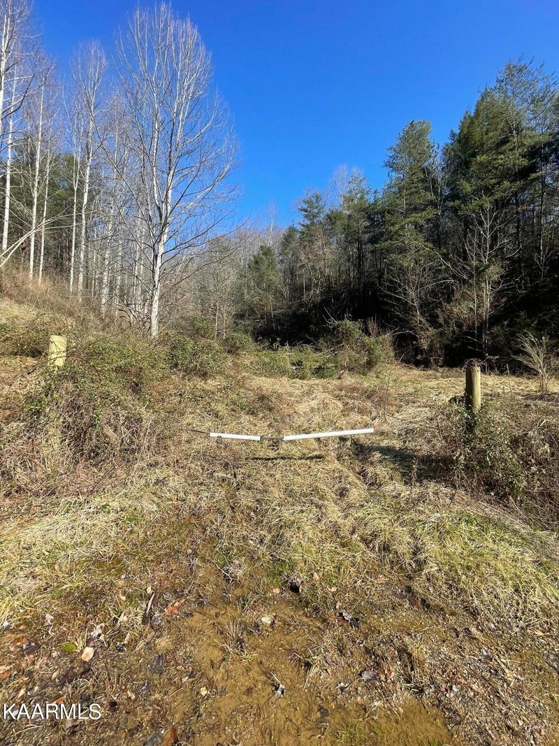 0 Rush Branch Rd, Pigeon Forge, TN 37863