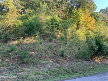 0 Russell Brothers Rd #732, Sharps Chapel, TN 37866