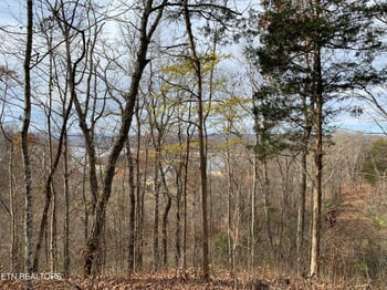 0 Russell Brothers Rd #732, Sharps Chapel, TN 37866