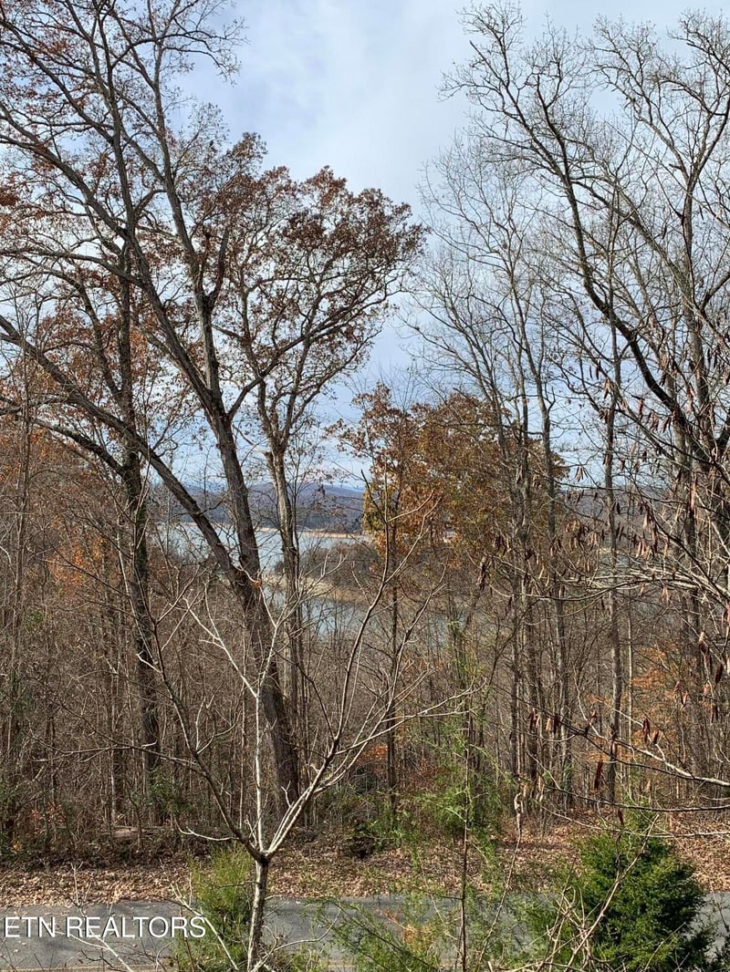0 Russell Brothers Rd #732, Sharps Chapel, TN 37866