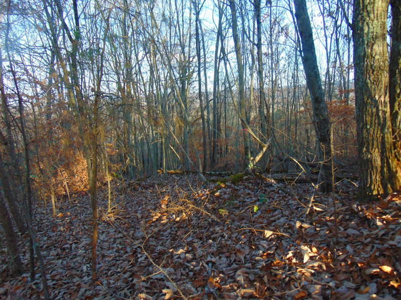 0 Russell Ln, Clinton, TN 37716