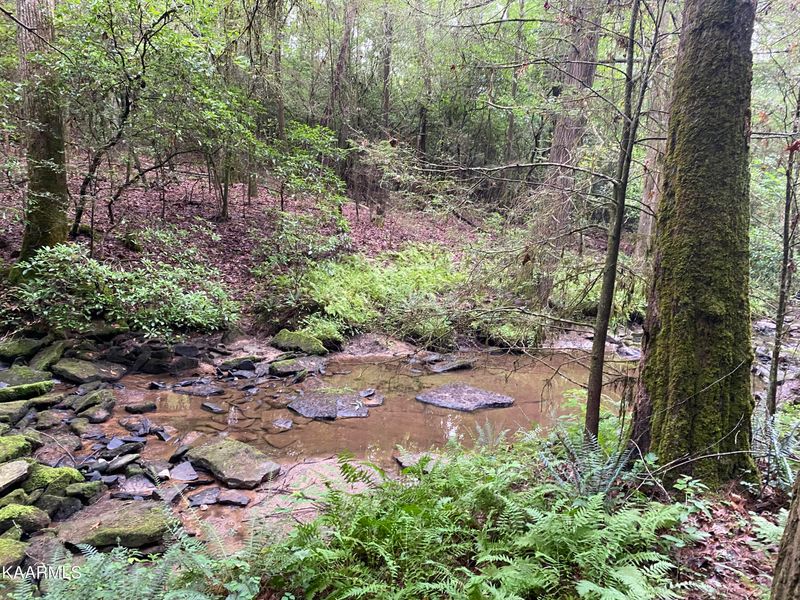 0 Russell Ridge Rd, Crossville, TN 38555