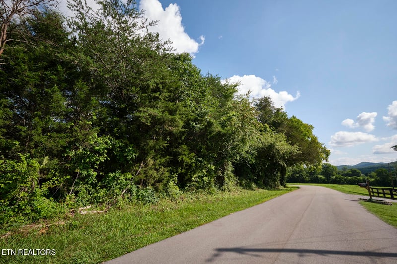 0 Rutledge Pike, Blaine, TN 37709