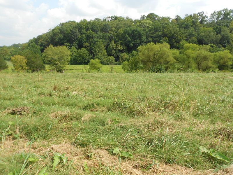 0 Rutledge, Rutledge, TN 37861