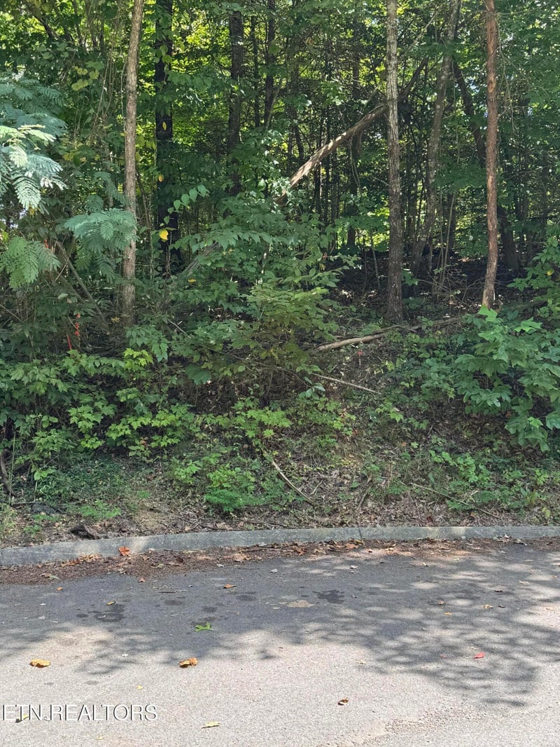 0 S B Ogle Ln, Sevierville, TN 37863