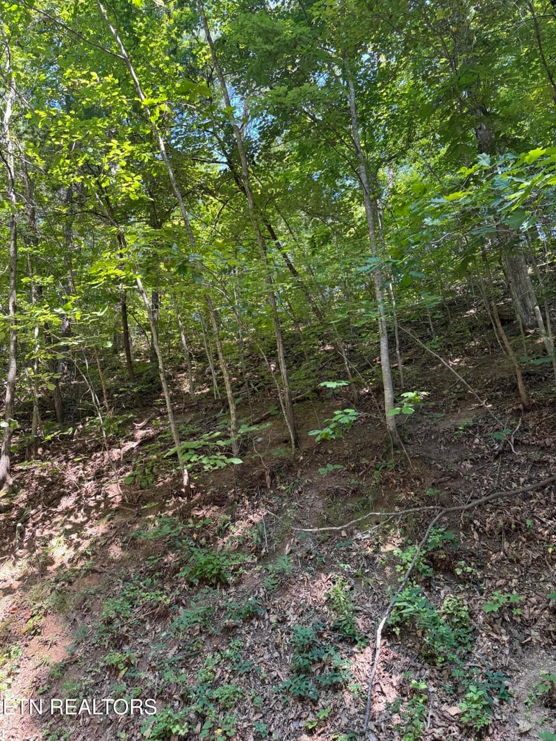 0 S B Ogle Ln, Sevierville, TN 37863
