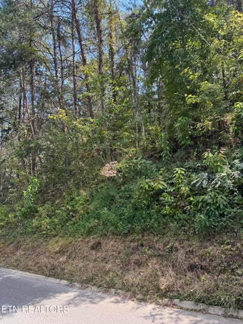 0 S B Ogle, Sevierville, TN 37876