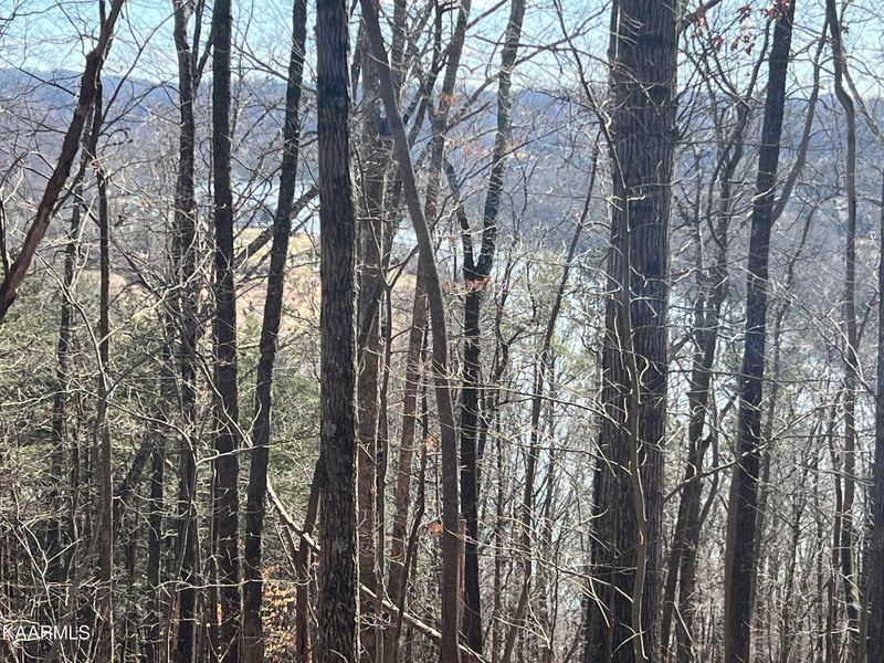 0 S Charles Seivers Blvd, Clinton, TN 37716