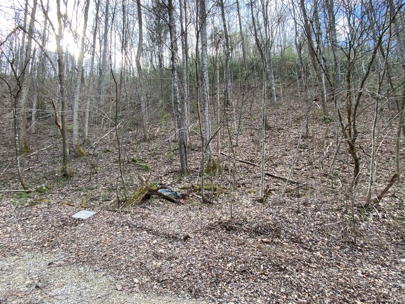 0 S Clear Fork Rd Off Rd, Sevierville, TN 37862