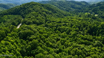 0 S Clear Fork Rd, Sevierville, TN 37862