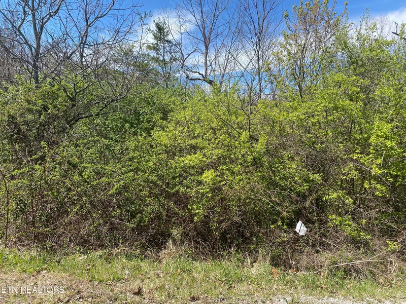 0 S Hwy 127 N, Crossville, TN 38555