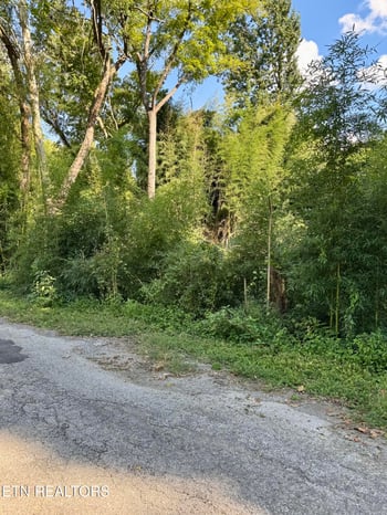 0 S Lenoir Ave, Rockwood, TN 37854