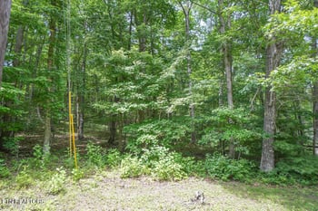 0 S Peterson Rd, Tallassee, TN 37878