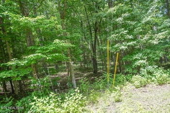 0 S Peterson Rd, Tallassee, TN 37878
