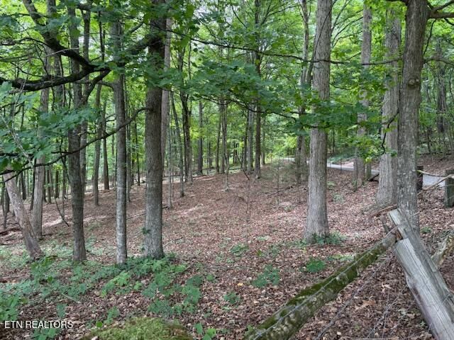 0 S Ridge Crest Rd, Luttrell, TN 37779