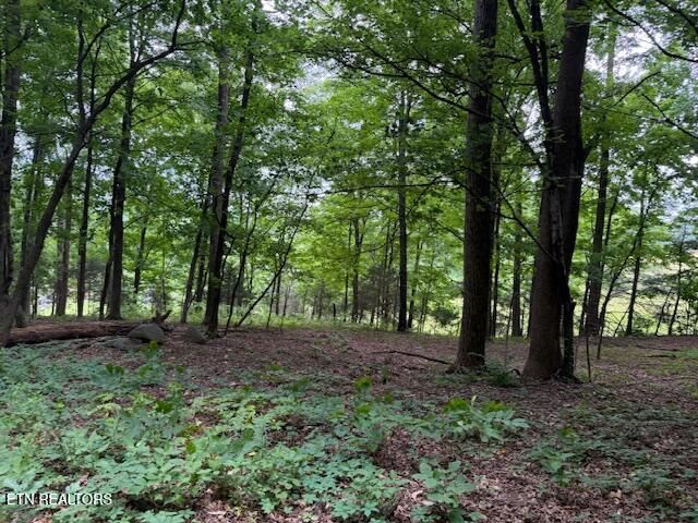0 S Ridge Crest Rd, Luttrell, TN 37779