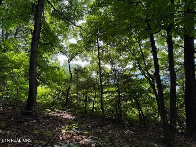 0 S Ridge Crest Rd, Luttrell, TN 37779