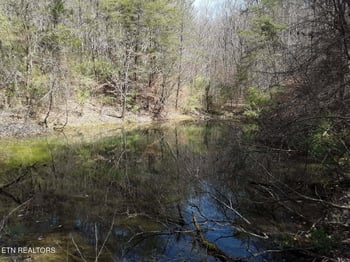 0 S Rogers Rd, Seymour, TN 37865