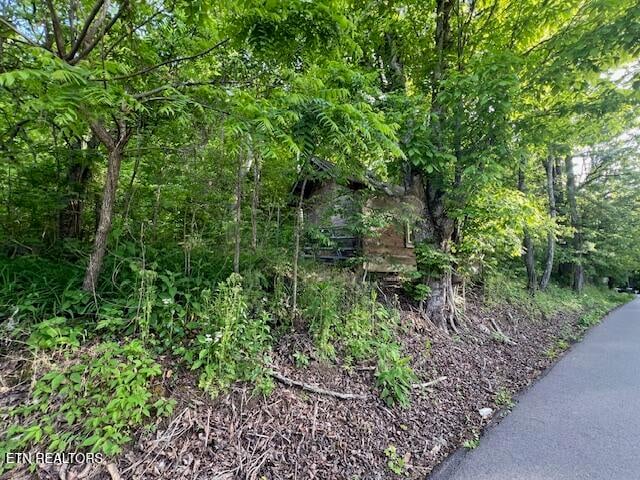 0 S Rogers South Rd #2r2, Seymour, TN 37865