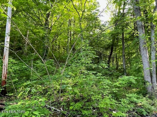 0 S Rogers South Rd #2r2, Seymour, TN 37865