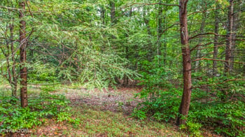 0 S Shorewood Ln, Caryville, TN 37714
