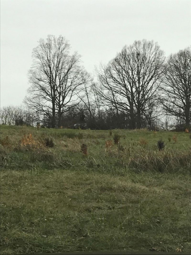0 S Springview Rd, Maryville, TN 37801