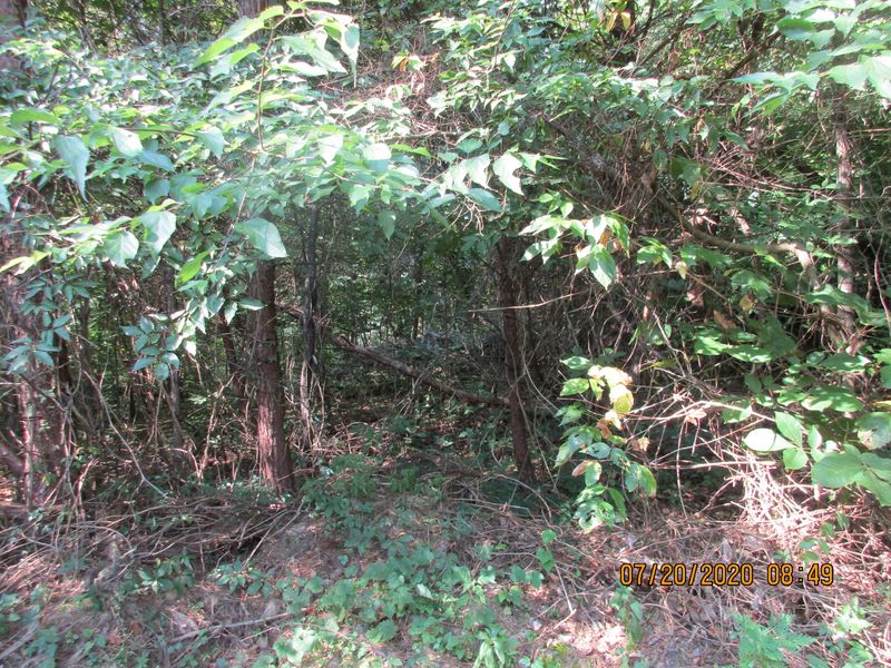 0 Saddle Way, Sevierville, TN 37876