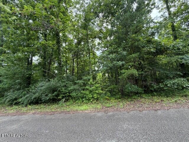 0 Saddleridge Dr, Speedwell, TN 37870