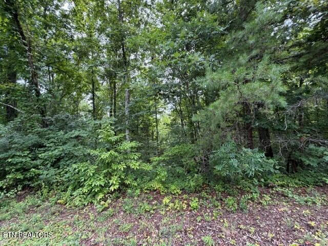 0 Saddleridge Dr, Speedwell, TN 37870