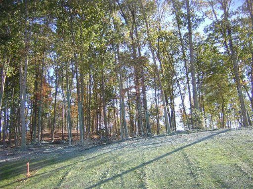 0 Saddleridge, Speedwell, TN 37870