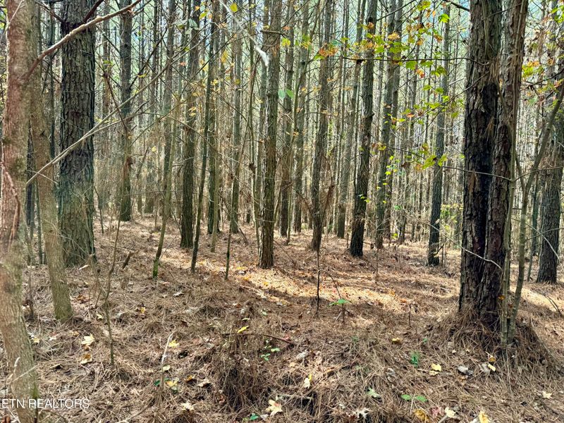 0 Sam Summers Rd, Rockwood, TN 37854