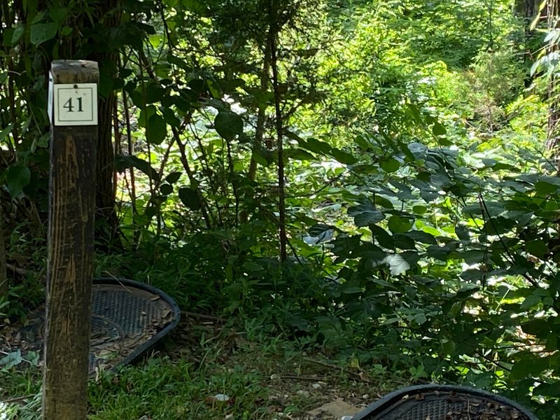 0 Sanctuary Shores, Sevierville, TN 37876