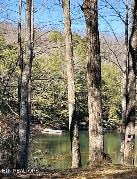 0 Sandy Stand Rd, Tallassee, TN 37878
