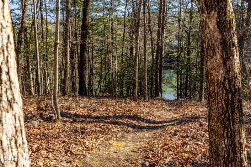 0 Sandy Stand Rd, Tallassee, TN 37878