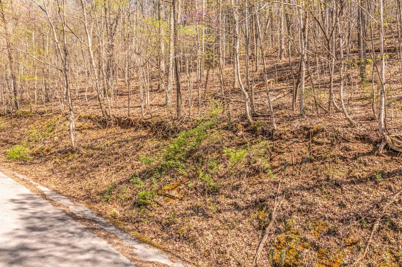 0 Sara Ln, Maynardville, TN 37807