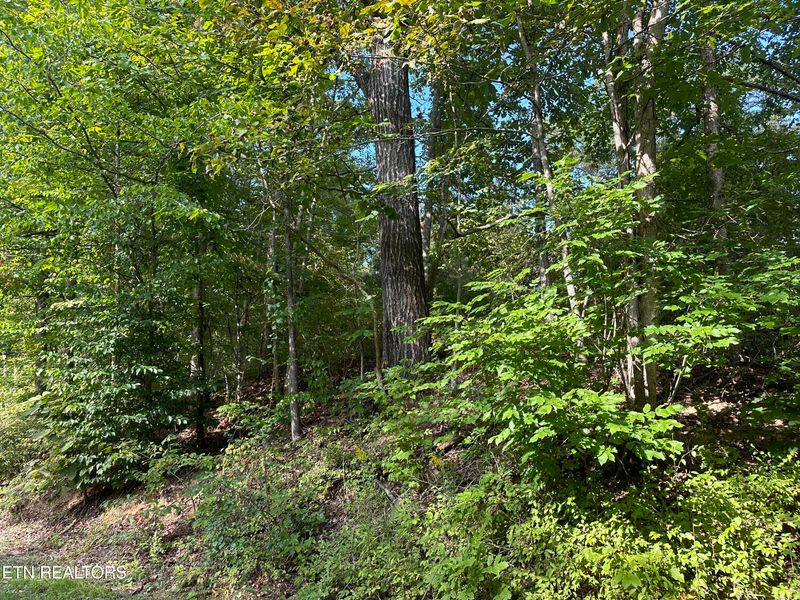 0 Satterfield Rd, Maynardville, TN 37807