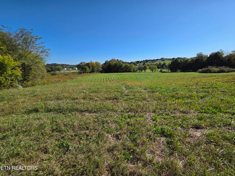 0 Savannah Ln, Madisonville, TN 37354