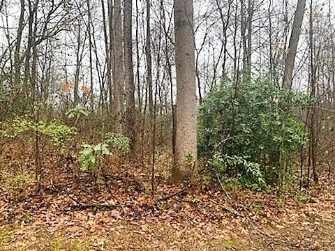 0 Scenic Dr, Athens, TN 37303