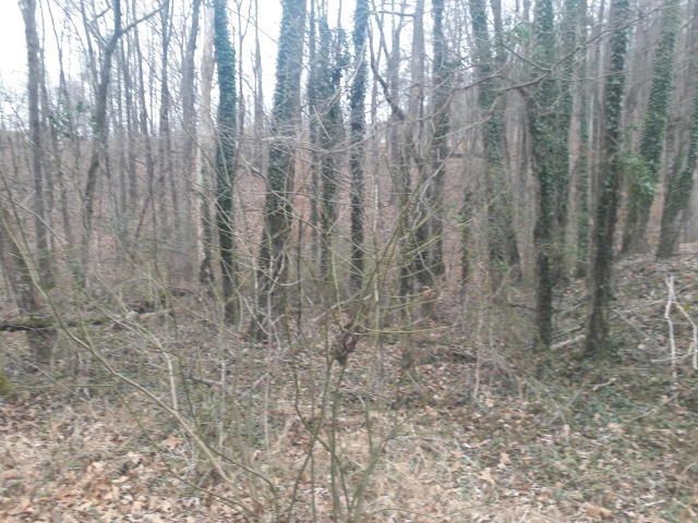0 Scenic Dr, Harriman, TN 37748