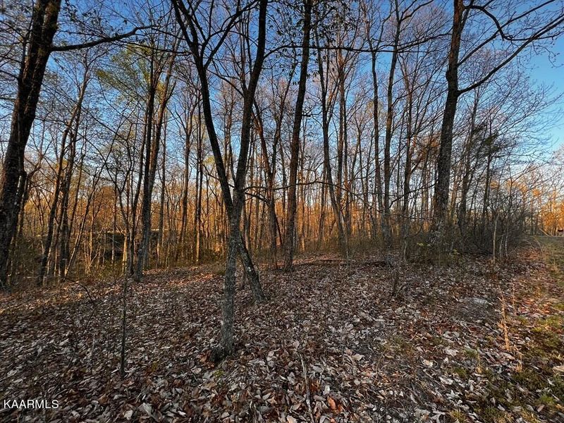 0 Scenic Pl, Monterey, TN 38574