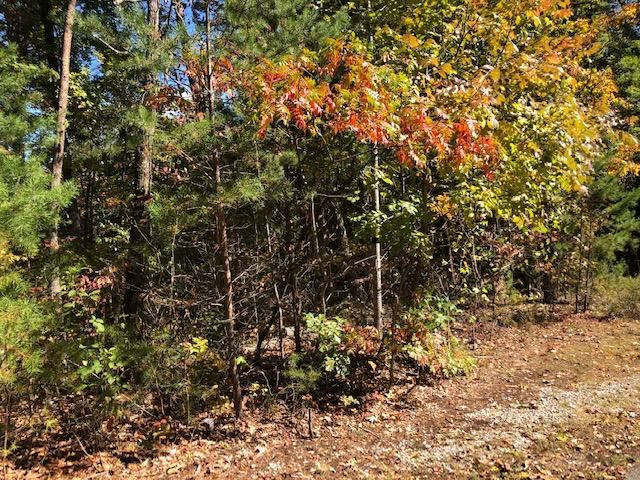 0 Scenic Woods Way, Sevierville, TN 37862