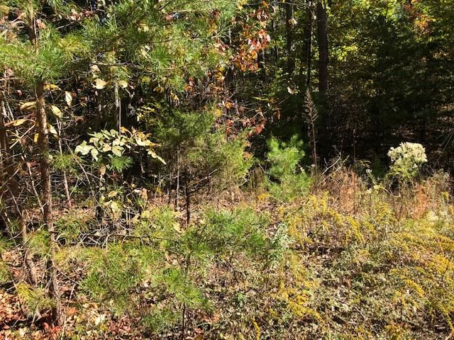 0 Scenic Woods Way, Sevierville, TN 37862