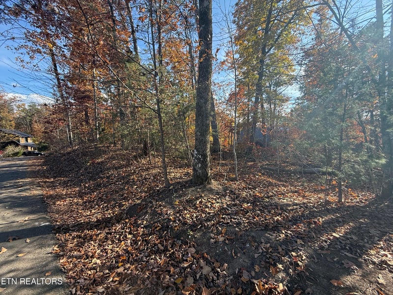 0 Scenic Woods Way, Sevierville, TN 37876
