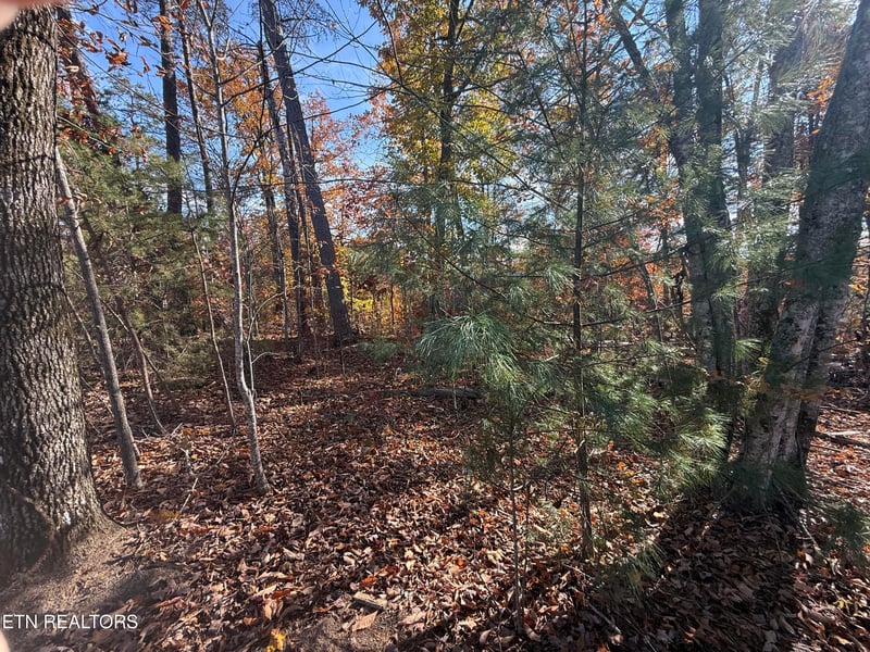 0 Scenic Woods Way, Sevierville, TN 37876