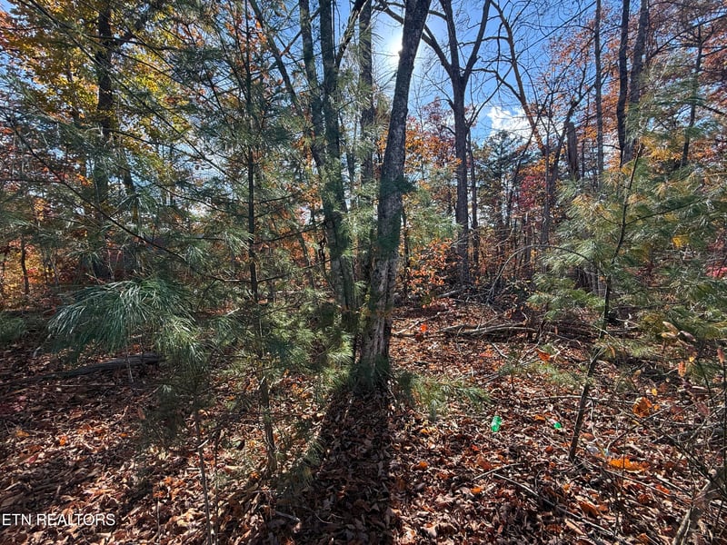 0 Scenic Woods Way, Sevierville, TN 37876