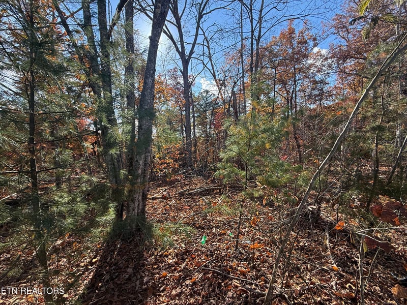 0 Scenic Woods Way, Sevierville, TN 37876