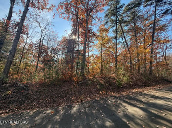 0 Scenic Woods Way, Sevierville, TN 37876