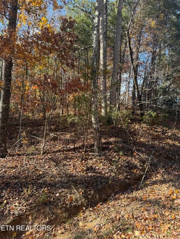 0 Scenic Woods Way, Sevierville, TN 37876